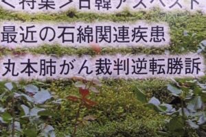 石綿関連肺がんの大阪高裁逆転勝訴(2016年)