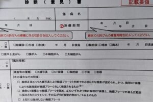 厚生労働省が、主治医診断書の「記載要領」を作成